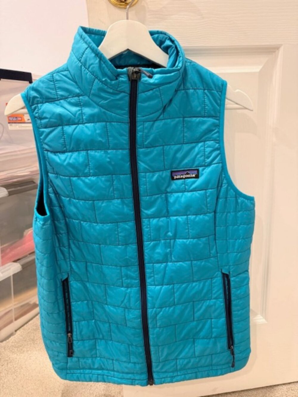 Patagonia Down Vest